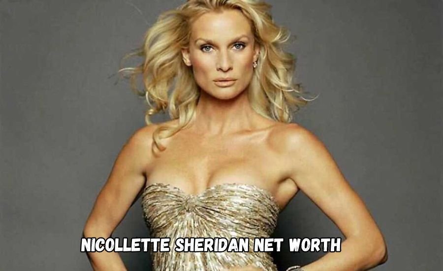 nicollette sheridan net worth