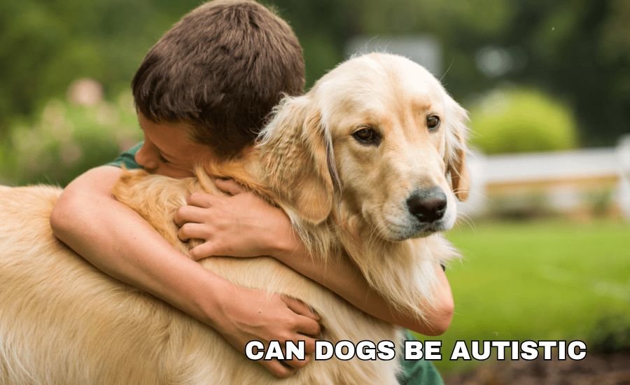 can dogs be autistic