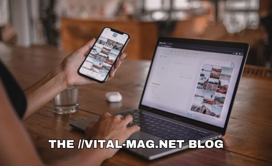 the //vital-mag.net blog