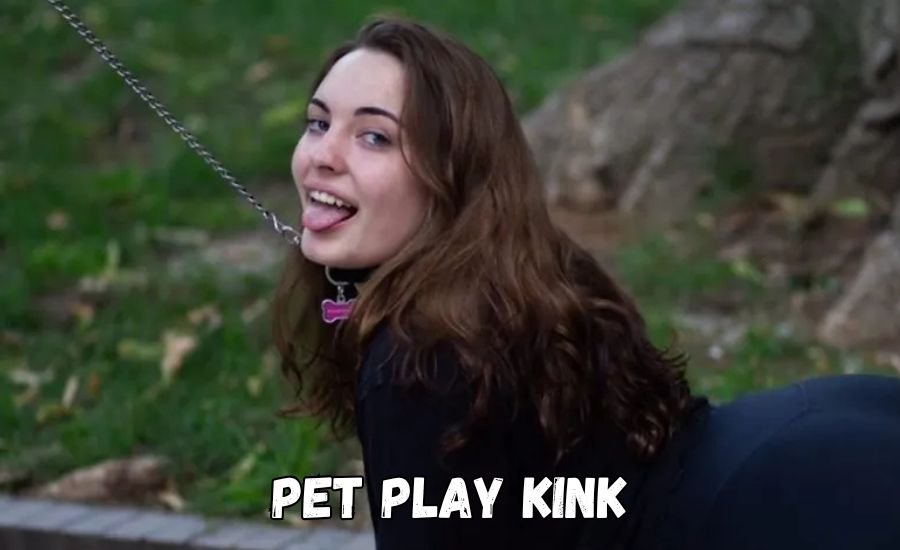 The Ultimate Guide to Pet Play Kink: Discovering the World of Animal Roleplay